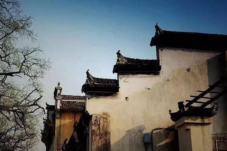 救援旅游者